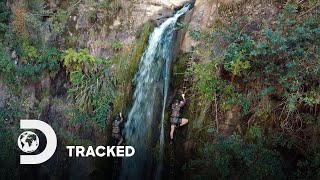 Super Snitch | Tracked | Discovery Channel Southeast Asia