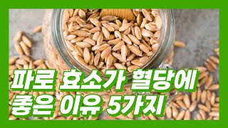 파로 효소가 혈당 관리에 좋은 이유 5가지