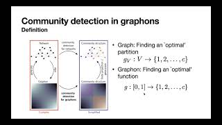 Florian Klimm: Modularity maximisation for graphons