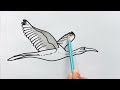 how to draw an ibis bird picture from number 2