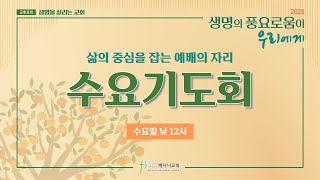 베다니교회 수요기도회 | 2025년 2월 19일 | 생명을 살리는 교회