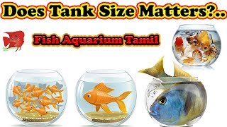 Tank சின்னதா இருந்தா மீன் வளராதா?.. Does Tank Size Really Matters? Early death / Fish Aquarium Tamil