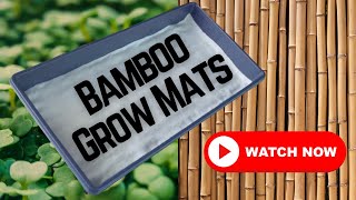 Bamboo Grow Mats//Microgreens