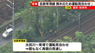 愛知の各地で“ゲリラ雷雨”…名鉄常滑線が倒木のため一部で運転見合わせ 木が電線に接触 強風の影響か