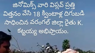 జినోమిక్స్ వారి విప్లవ్ ప్రత్తి విత్తనం వేసిన రైతు అభిప్రాయము.