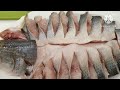 threadfin fish chinese recipes easy steamed transformation arnie dandelion