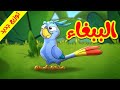 الببغاء - قناة بلبل BulBul TV