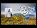 نهاونديات لا تصفها الكلمات للشيخ محمد المنشاوي 1