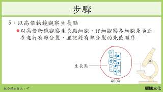 108基生 探討活動1-3染色體的觀察