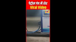 Viral Video : पेट्रोल पंप पर घूमते शेर का यह वीडियो है वायरल | Uttar Pradesh | N18S | #shorts