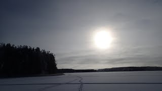 Purkkikalojen saalistus jatkui Saimaalla.