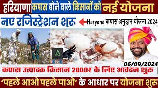 Haryana कपास अनुदान योजना 2024 | Haryana ₹2000 Bonus|2000 रुपए प्रति एकड़ कपास बोने वाले किसानों को|