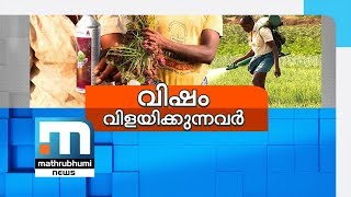 തമിഴ്‌നാട് പാടങ്ങളില്‍ വിഷം കലര്‍ന്ന പച്ചക്കറി | Mathrubhumi News