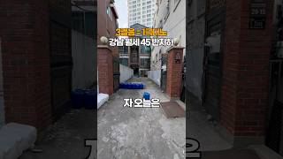 강한자만이 살아남는 강남 원룸