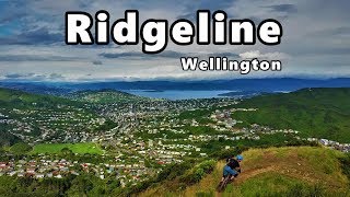 Amazing Ridgeline Trail in Wellington, New Zealand