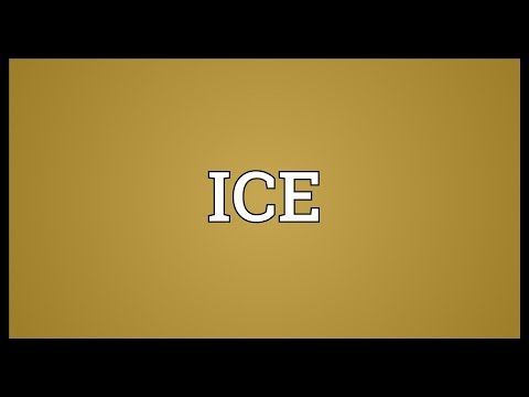 What does the root word ice mean?