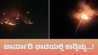 Wildfire| ಚಾರ್ಮಾಡಿ ಘಾಟಿಯಲ್ಲಿ ಕಾಡ್ಗಿಚ್ಚು.! Charmadi Ghat | Chikkamagaluru Live