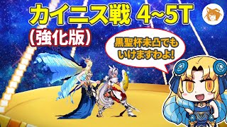 クラス有利ってなに? カイニス戦 4~5T (強化版) 第11節 進行度2 スーパーリコレクションクエスト【FGO/Road to 7 LB5】