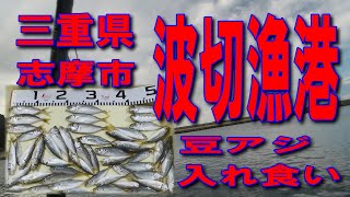 #29三重県波切漁港網干波止釣りに良い漁港です車横付け釣り出来ますファミリー家族連れサビキ釣りに良い南蛮漬けサイズのアジ入れ食い状態イカ墨跡多数色々釣れます釣りポイント案内釣り堤防アジング釣りスポット