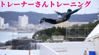 シャチトレーナーさんのトレーニング!! 鴨川シーワールド シャチショー KamogawaSeaWorld