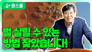 죽어가는 벌들을 살리려면 이것부터 해야합니다! ㅣ 화분을 활성화시키는 나노기술 ㅣ 죽어가는 벌들