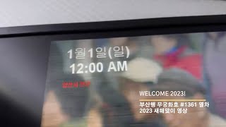 [Welcome 2023] 부산행 무궁화호 #1361 열차 2023 새해맞이 영상