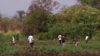 WPDI South Sudan