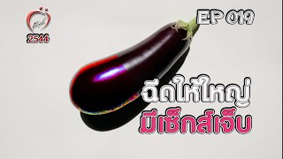 ฉีดให้ใหญ่ มีเซ็กส์เจ็บ? - ชูรักชูรส ep 019