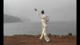 wushu bajiquan -1