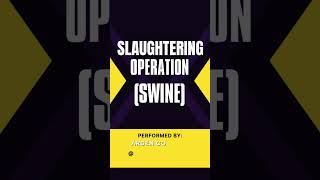 Slaughtering Operation (Swine)