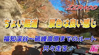 ちょい酷道　景色は良い感じ　福知渓谷～砥峰高原までのルート⛰　只々走る😊　【ZZR400】