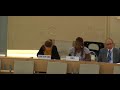 36th Session Human Rights Council - ID: Working Group African Descent - Ms. Martina Castiglioni