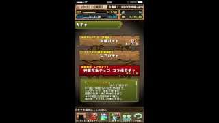 【パズドラ実況】最後は幻？夏休みスペシャル！　ゴッドフェス　前半〜後半　１０連？