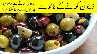 Zaitoon ke Fayde || Health benefits of Olive || Zaitoon || Olive || olive oil زیتون کھانے کے فائدے