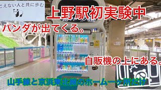 上野駅ホーム自販機にある物が気になったので様子を見てみた。