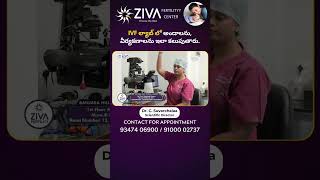 IVF ల్యాబ్ లో అండాలను, వీర్యకణాలను | IVF Procedure Step By Step | Dr C Suvarchalaa | Ziva Fertility