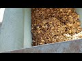 pecan shelling machine how it works and what it looks like