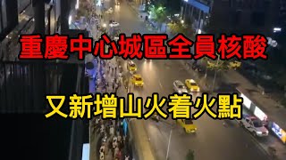 重慶中心9區全員核酸檢測，市民開始搶菜。遠處是燃燒的山火，天上飛機在救火，地下在排隊核酸。菜價暴漲，超市配送爆彈。市民吐槽除了核酸政府啥都不會管。山火繼續燃燒，又新增火點。重慶疫情 | 重慶山火