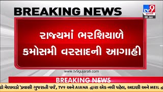 ગુજરાતના કયા કયા વિસ્તારમાં વરસાદની આગાહી | Tv9News