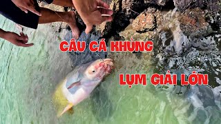 Câu Cá Khủng Lụm Giải Lớn #Shorts