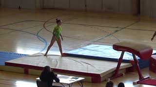 Gimnasia Artística JJDD de Navarra 2018. Salto. Nivel 8. Vía Olímpica