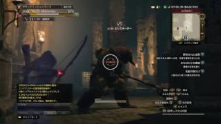 [ddon]　ノーダメージ　ハンター　ソロ　せせらぎ