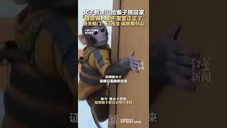 女子黔灵山捡猴子领回家 “感觉做人都不堂堂正正了” 相关部门：已违法 请放猴归山