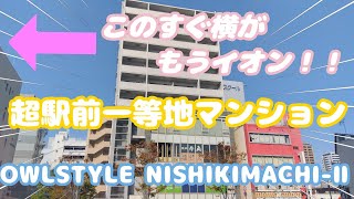 家のすぐ横がもうイオン！超立地を極めた最便利マンションご紹介します！【OWLSTYLE NISHIKIMACHI-Ⅱ】