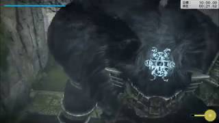 【PS4 ワンダと巨像】HTA #15 (1:36.16) タイムアタック Hard Time Attack / Shadow of the Colossus