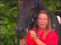 How to Check the Fit of your Horse's Bit