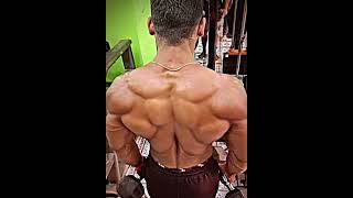 Back Workout #youtubeshort #yt #youtube #aesthetic #shortsfeed #bodybuilding #motivation