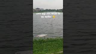 এমন মৃত্যু যেন কারো না হয় #newgojol2020 #assamgojol #banglaislamicsong #foryou #shortsviral