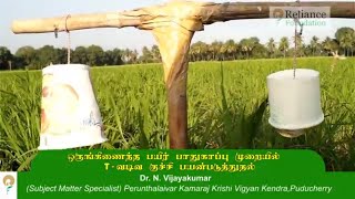 ஒருங்கிணைந்த பயிர் பாதுகாப்பு நிர்வாகத்தில் T வடிவ திண்டுகளின் குச்சிகளின்  பயன்பாடுகள்