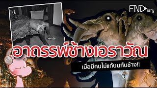 ช้างเอราวัณโหดกว่าที่คิด!! #อสูรไดอะรี่ #ไทยไดอะรี่ I แค่อยากเล่า...◄514►